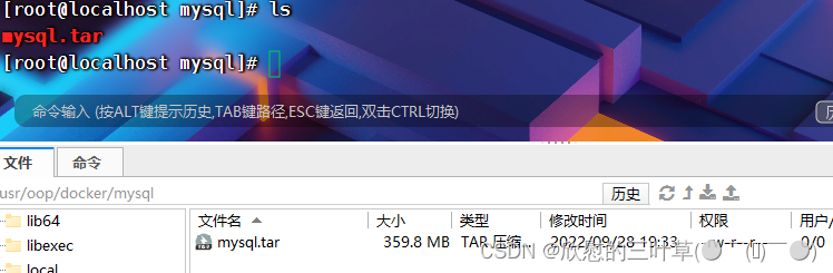 在这里插入图片描述