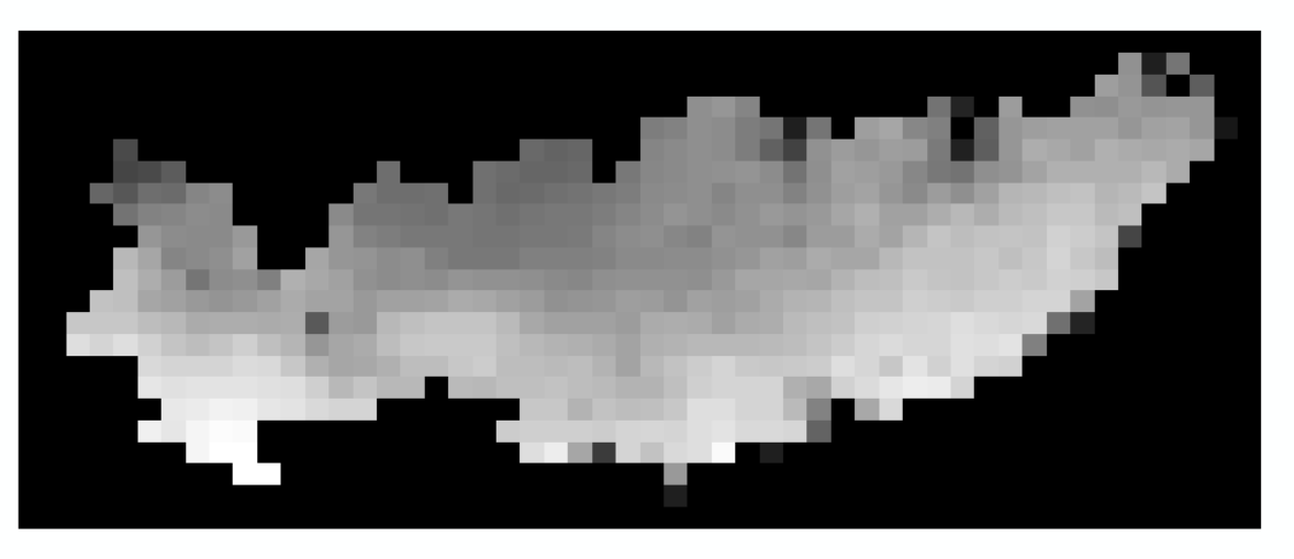 image-20220318163219692