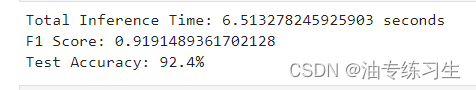 使用Intel Extension for PyTorch进行优化