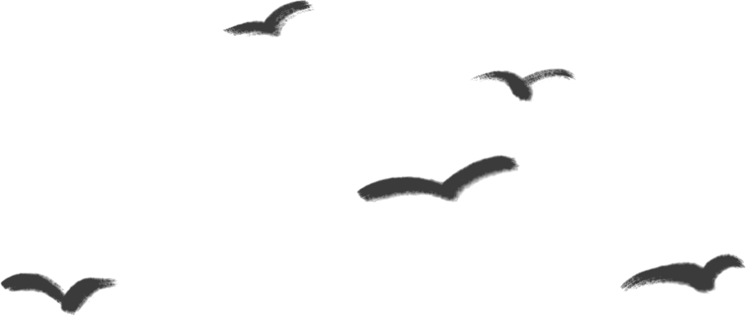 47cf3039a8ccf66215b290d935f76228.png