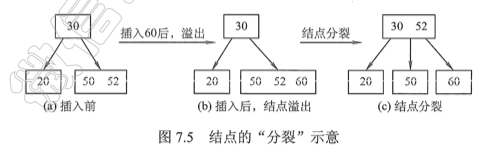 结点分裂示意