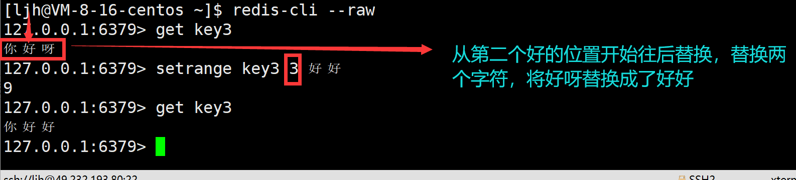 image-20240702144220340