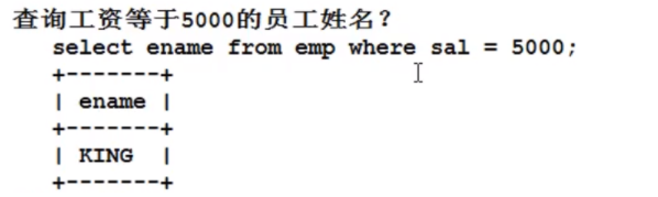 image-20220207103929958