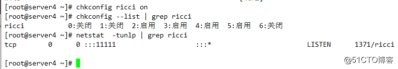 RHCS 集群安装部署