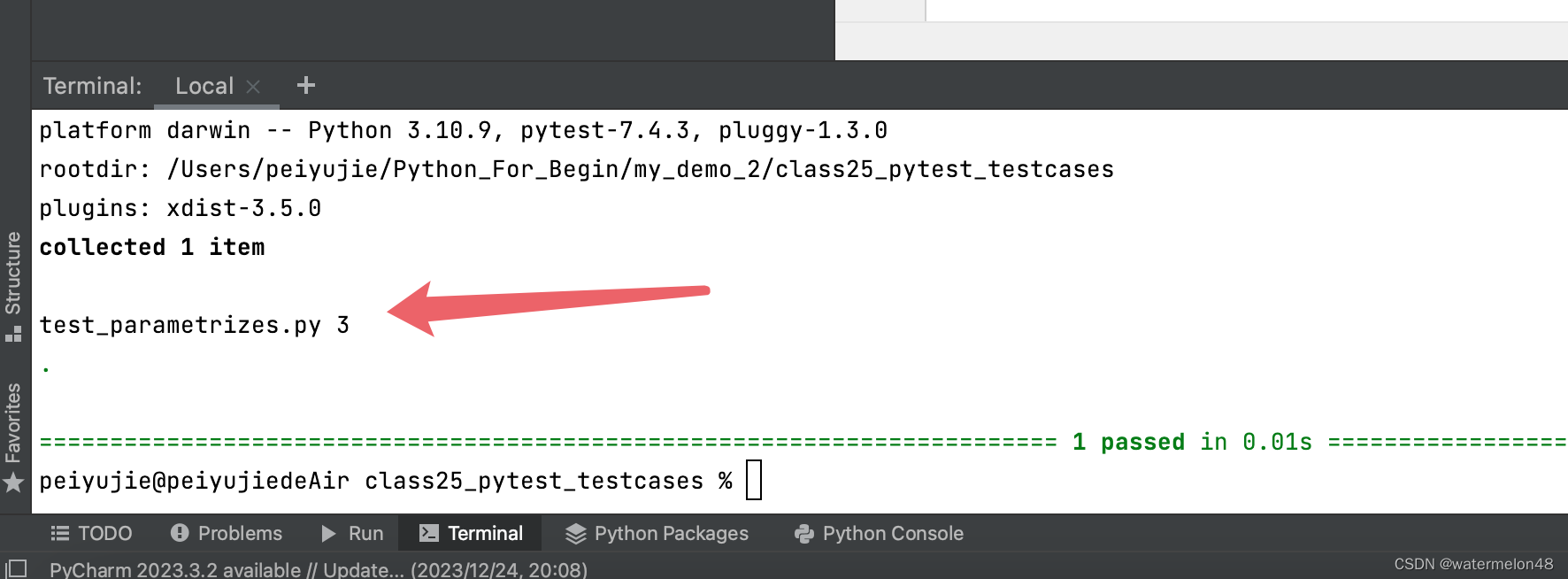 Pytest——接口自动化_pytest接口自动化-CSDN博客