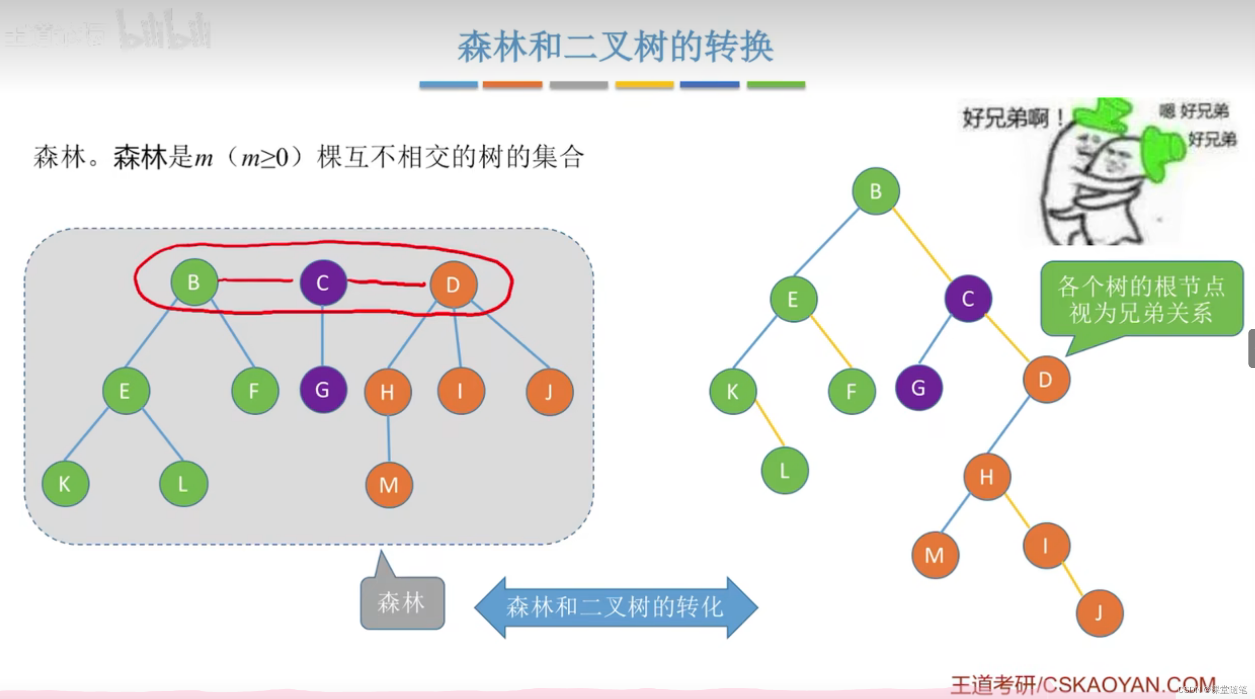（数据结构）树的存储结构-CSDN博客