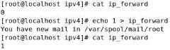 clip_p_w_picpath014[4]