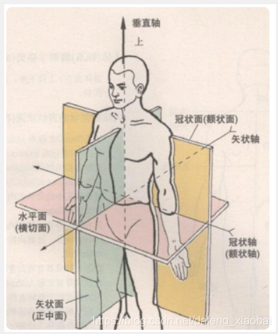 医学图像处理与坐标转换-CSDN博客