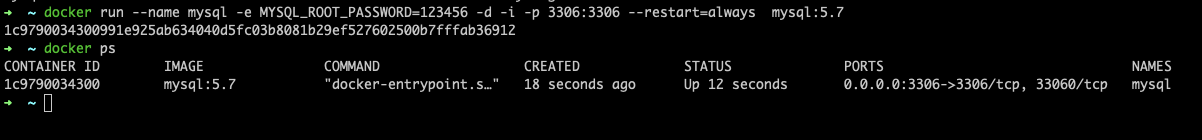 docker启动mysql