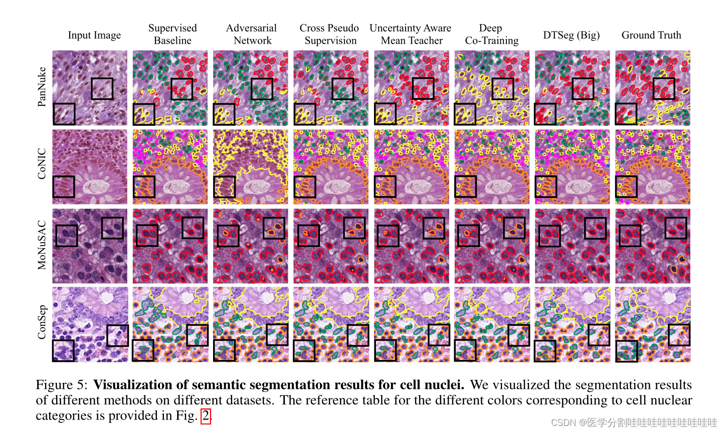 SEMI-SUPERVISED SEMANTIC SEGMENTATION OF CELL NUCLEIVIA DIFFUSION-BASED ...