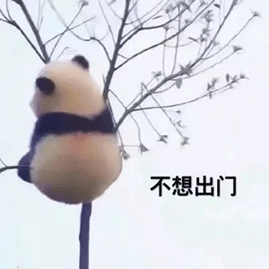 bbb1bf41f91f1db9f015ccd5f654c0bb.gif