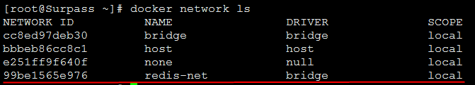 03ShowDockerNetwork.png