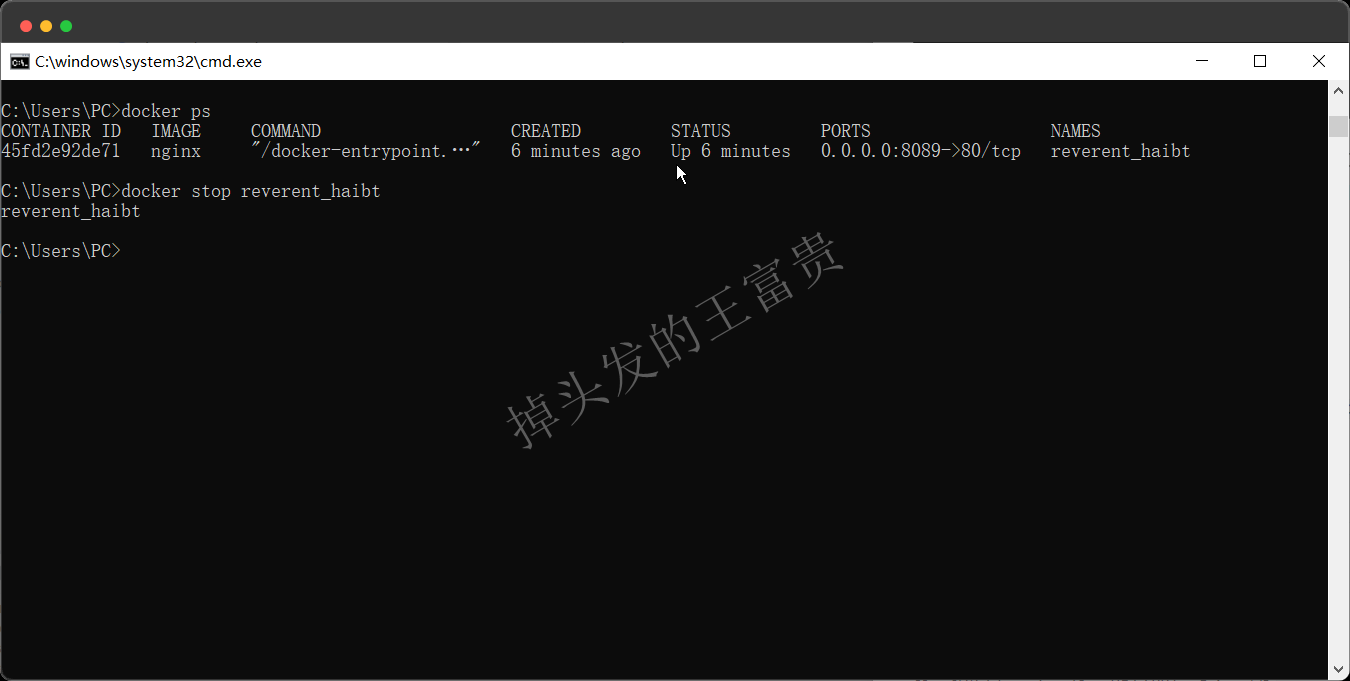 image-20240815195912361