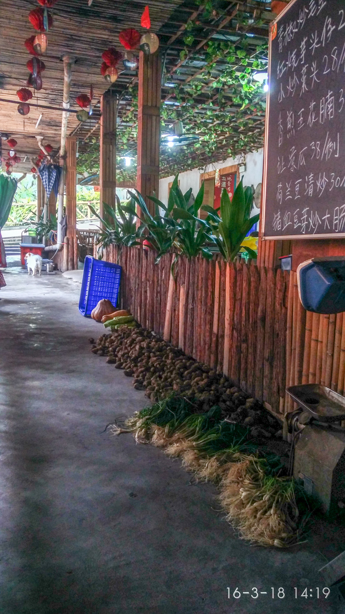 深圳绿道-观澜段-乡村一号