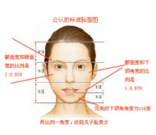 黄金比例的人脸 黄金比例的人脸