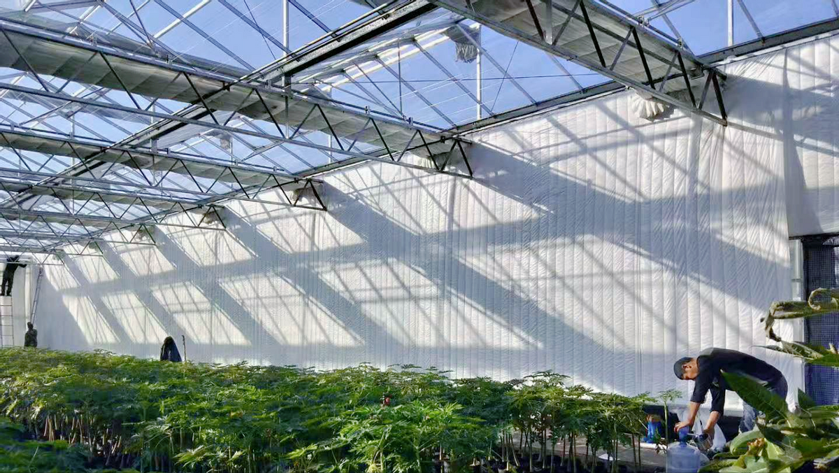 玻璃温室保温增温的那些事——玻璃温室冬季保温增温技术