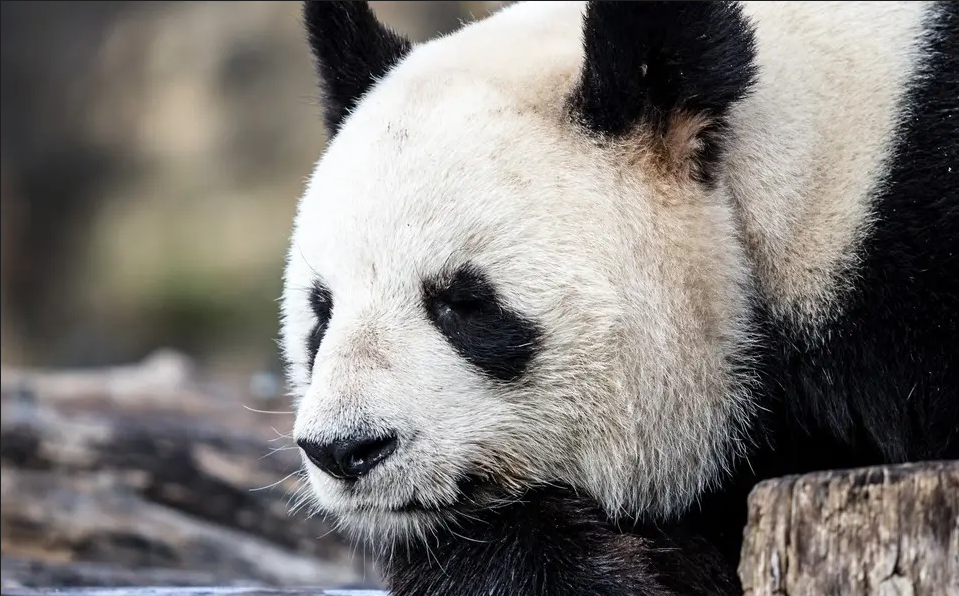 image-20220729103839769