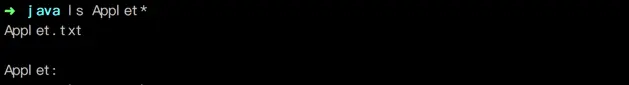 终端输出结果