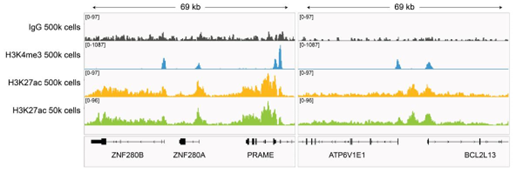 EpiCypher新品推荐——H3K27ac Antibody, SNAP-Certified™ for CUT&RUN and CUT&Tag