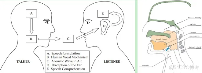 【语音识别】基于MFCC和DWT实现说话人语音识别_信号处理