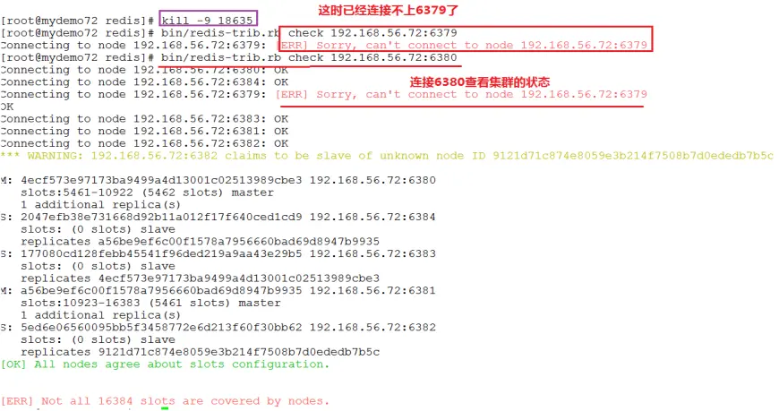 13638982-9066ec8394f64de3.png