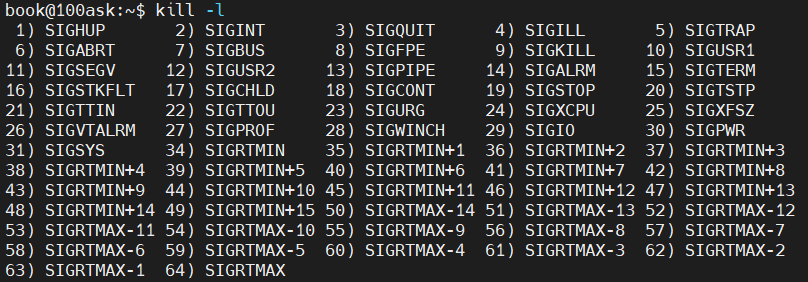 image-20240514195219674