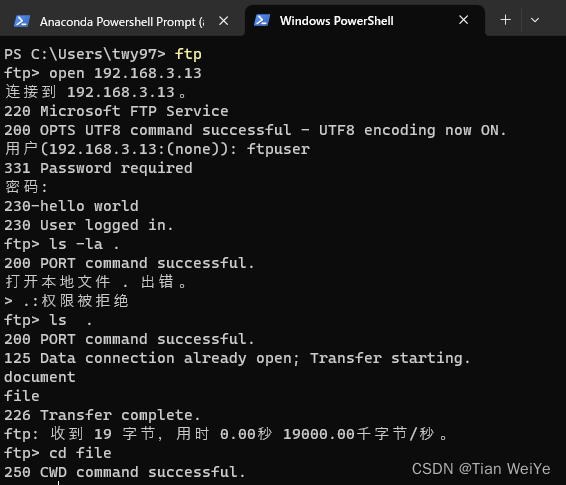 Powershell Ftp 搭建 FTP服务器_搭建本地ftp ip可以用127.0.0.1吗-CSDN博客
