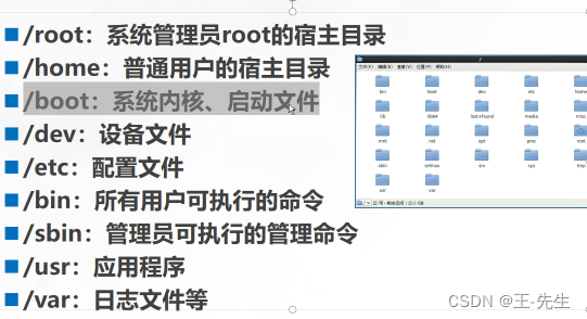 一.Linux的目录和文件管理-CSDN博客