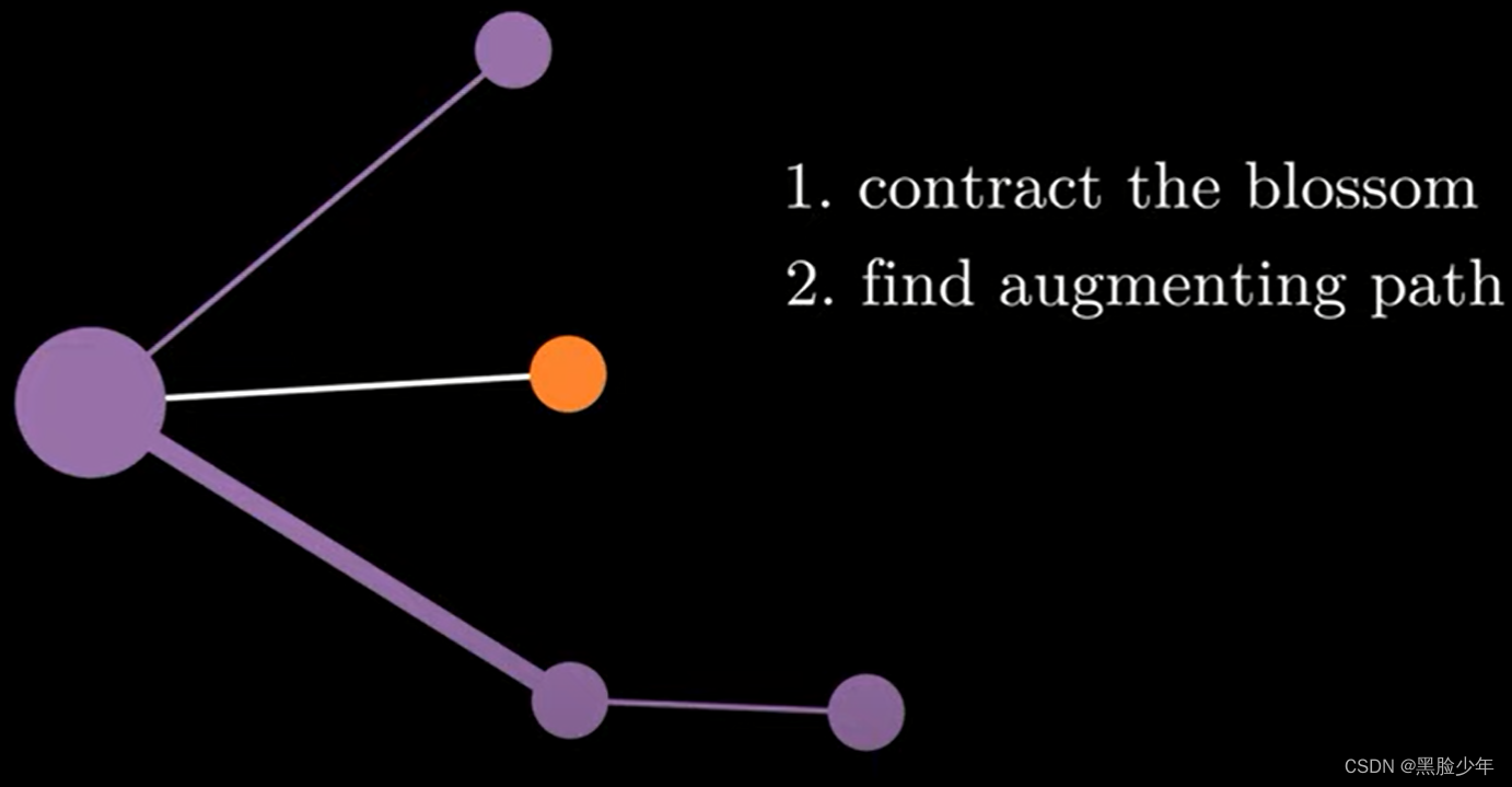Blossom Algorithm Examples Blossom算法,开花算法简单理解-CSDN博客