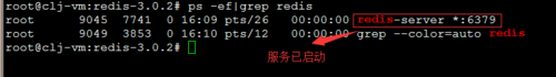 Ubuntu下如何安装与运行Redis