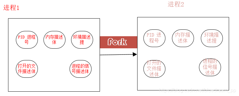 进程的分裂