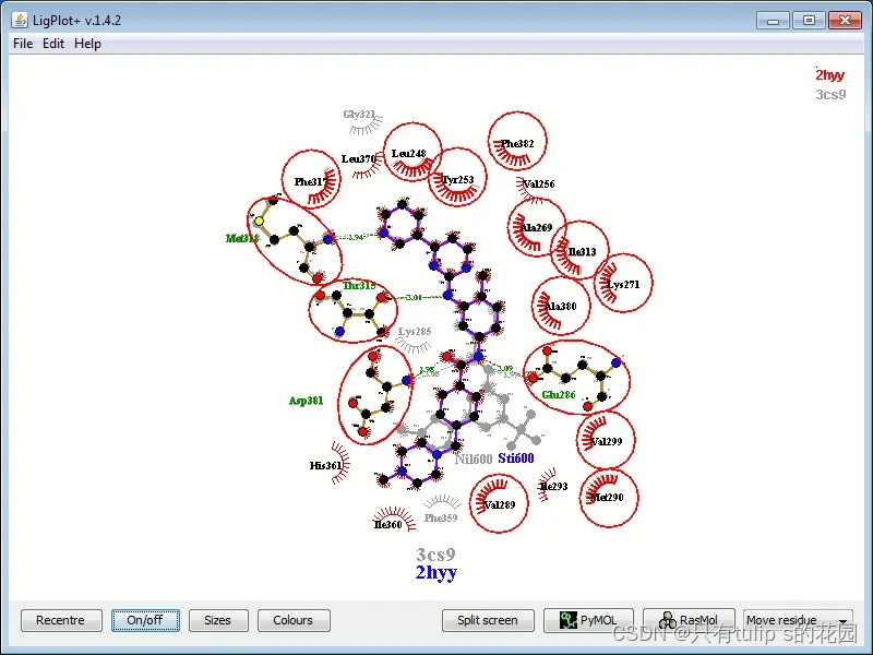 蛋白下分子互作2D图软件LigPlot+下载链接和安装运行方式-CSDN博客