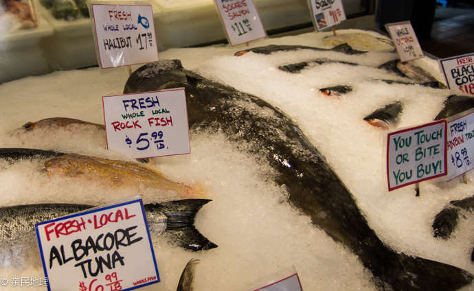 亲民地理-第50期-在美国逛农贸市场-西雅图派克市场 亲民地理-第50期-在美国逛农贸市场-西雅图派克市场