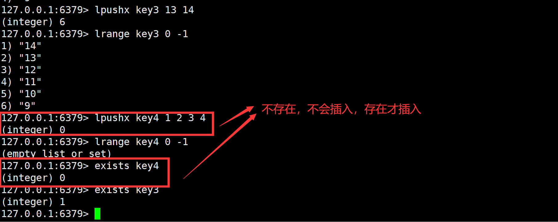 image-20240704144239679