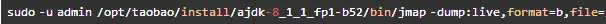 webp