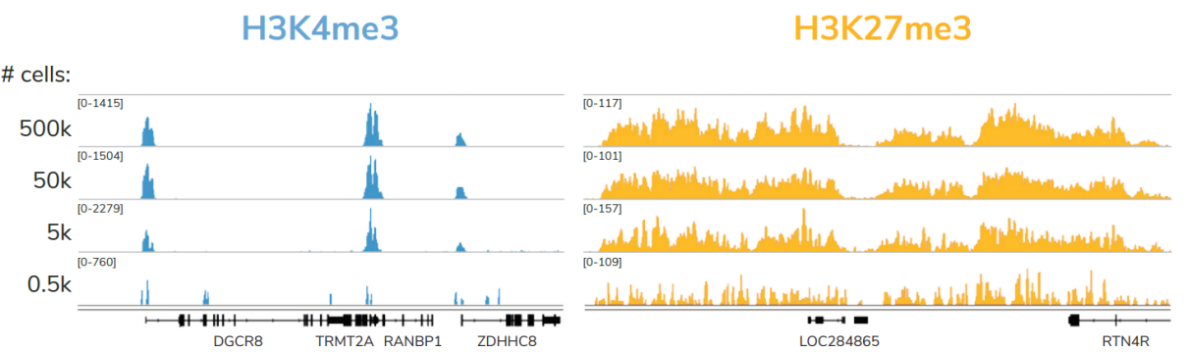 Epicypher热销产品——CUTANA™ ChIC/CUT&RUN Kit