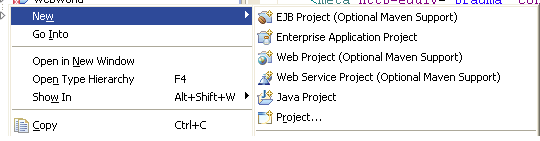 MyEclipse增加Web Project