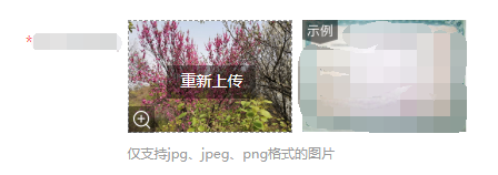 插入图片示例