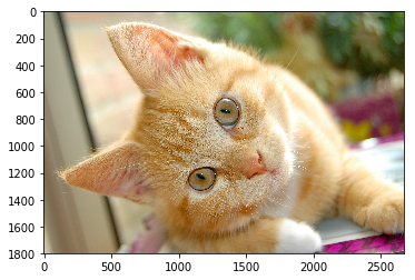 img_f2af42043f184dbe33e34a962e01c285.png