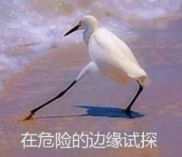 b339dbfa340e9ddda3086319deef055d.png