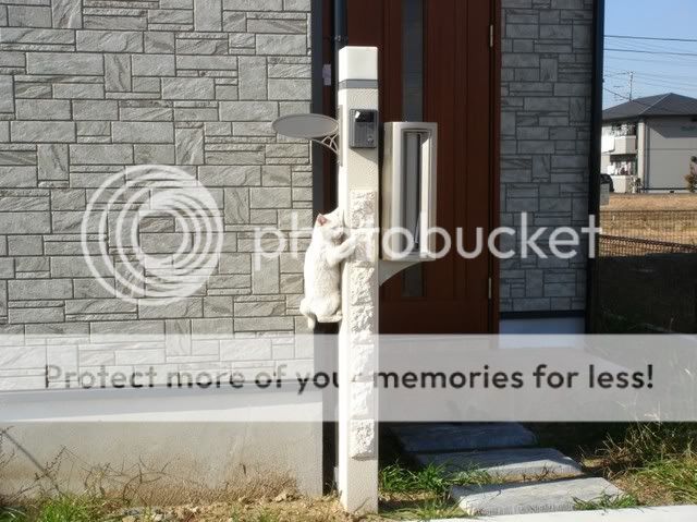 点击在新窗口中查看该图片