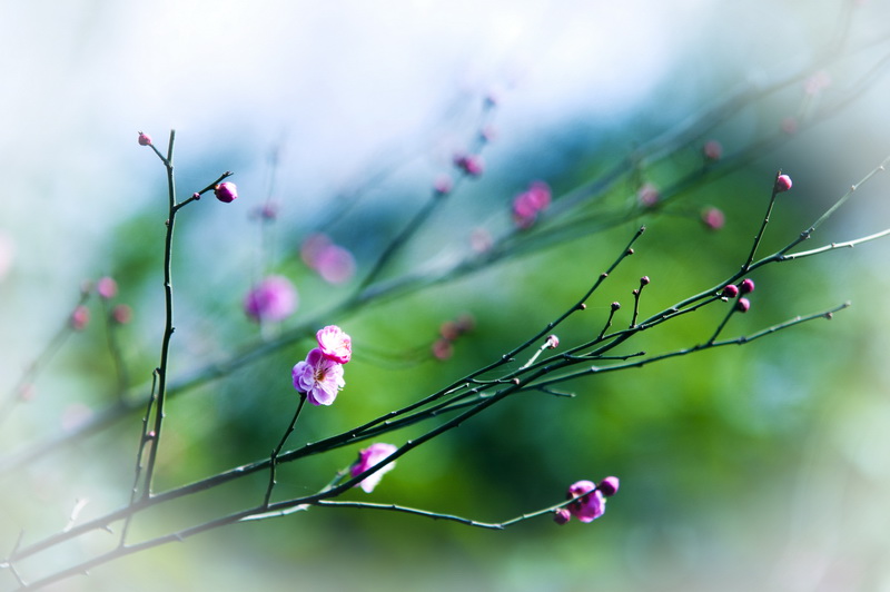 6082170e44fa72997bcbe19a.jpg