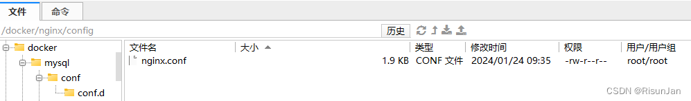 在这里插入图片描述