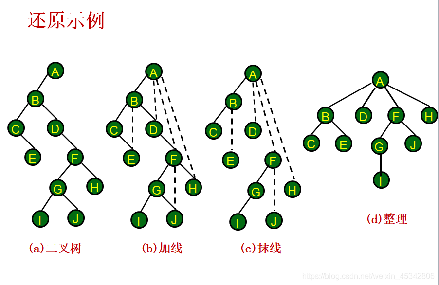 二叉树还原为一般树过程演示