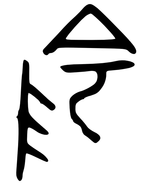 阴