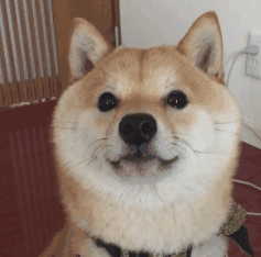 https://user-gold-cdn.xitu.io/2017/12/17/16062ce3539eb419?w=237&h=234&f=gif&s=561618