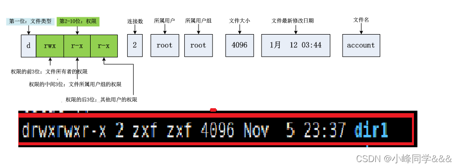 【Linux】shell命令以及运行原理和Linux权限详解_linux默认shell解释-CSDN博客