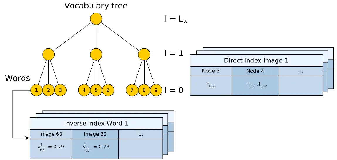 图2.Vocabulary tree，Direct index和Inverse index，三者构成了这个Image database。Vocabulary words就是这个叶节点，Inverse index存储了words在图像中出现的权重值，Direct index存储了图像的特征以及在这棵vocabulary tree上一定的层上与这些特征相关联的节点。