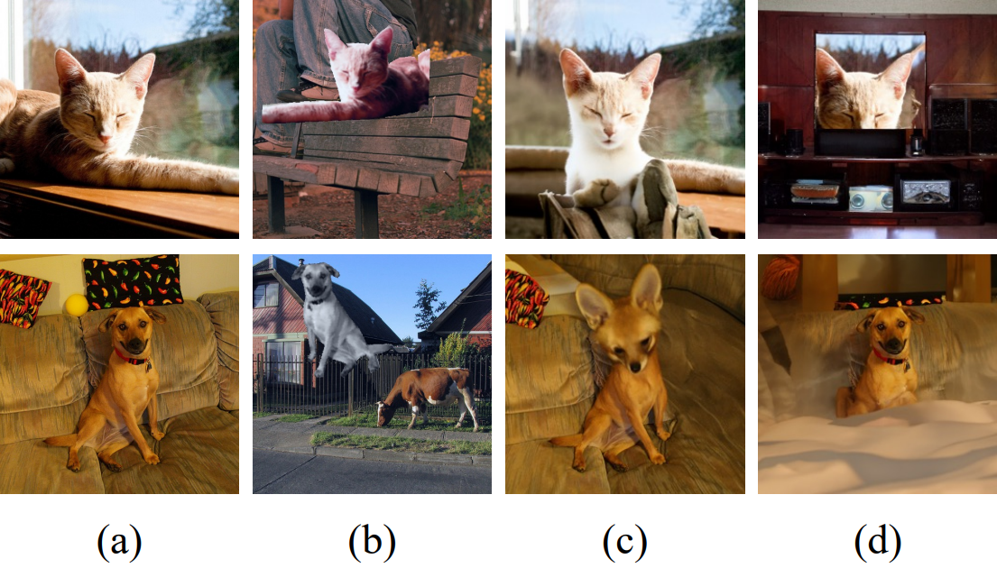 合成数据集。(a)原始图像; (b)Segmix生成; (c)对角线外涂; (d)补丁涂装。